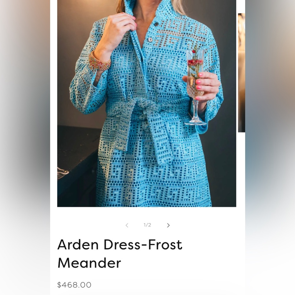 NWT Holly Shea Frost Meander Arden Dress with Sash